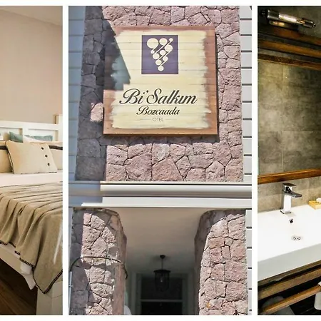 ホテル Bi Salkim ボズカーダ